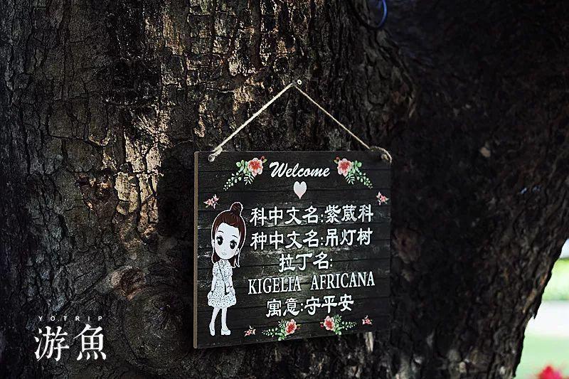 青瓦台魔咒再现？李明博终审获刑17年，是贪污被治还是政治报复？游戏画面