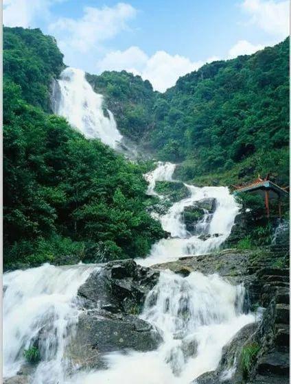 逃出安逸小乡村