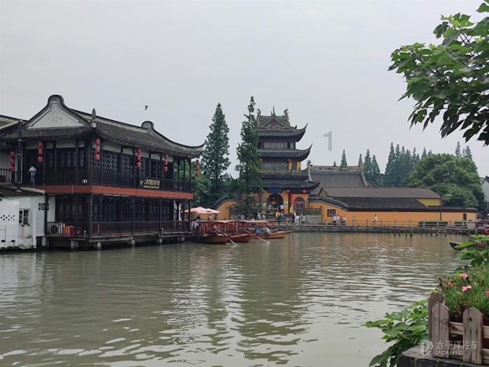 热闹非凡！福州铁路花木基地迎春花市开启 品种多样吸引市民购买